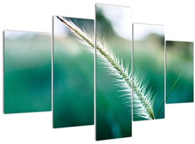 Obraz steblá trávy (150x105 cm)