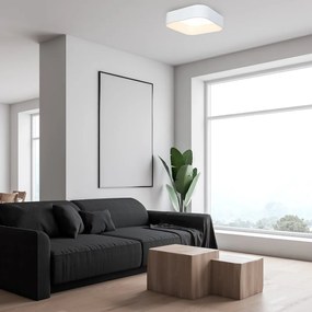 Stropné LED svietidlo Astro, 1x LED 40w, 3000-4000k, w