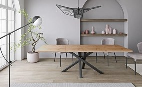 Rozkladací jedálenský stôl ALISON Dub Aristan 160 - 260 cm