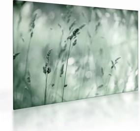 Sklenený obraz - Zelená lúka (70x50 cm)