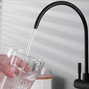 Kuchynská batéria Rea Eco Fresh čierna