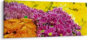 Obraz ružového kvetu (120x50 cm)