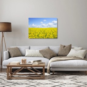 Sklenený obraz žltého poľa (70x50 cm)