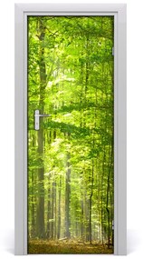 Fototapeta na dvere bukový les 95x205 cm