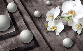 Fototapeta - Orchidea (254x184 cm)