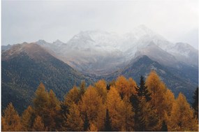 Obraz - Výhľad na hrebene hôr (90x60 cm)
