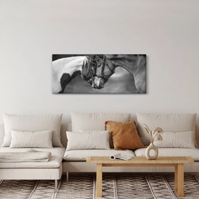 Obraz - Zamilované kone, čiernobiela (120x50 cm)