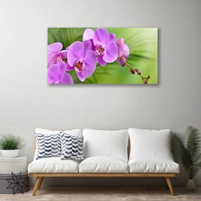 Obraz Canvas Vstavač orchidea kvety 140x70 cm