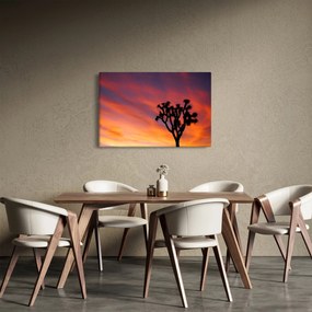 Obraz západu slnka nad siluetou stromu (90x60 cm)