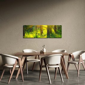 Obraz - Jarné prebúdzanie lesa (s hodinami) (90x30 cm)