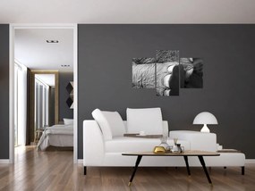 Obraz - Slonia noha (90x60 cm)