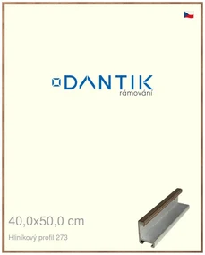 DANTIK rám na obraz 40x50 | ALU Dýha wenge (Sklo Čiré)