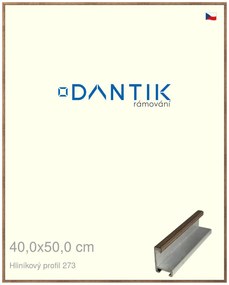 DANTIK rám na obraz 40x50 | ALU Dýha wenge (Sklo Čiré)