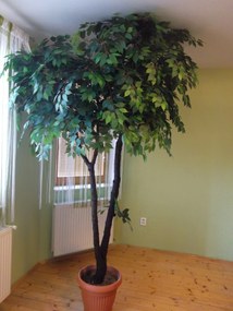 Umelý strom- Fikus gigant 250 cm