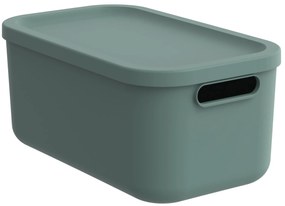 Rotho 2. akosť - Úložný box, rovný s vekom, 12l, matne zelený ALBU LIGHT, 40x24x18
