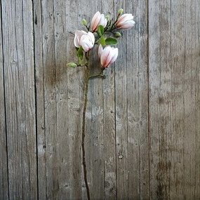 KONÁR MAGNÓLIA RUŽOVÁ 66CM