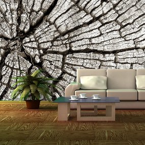 Sablio Tapeta Drevo - 336x220 cm