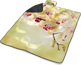 Sablio Plážová deka Orchidea 2: 200x140 cm