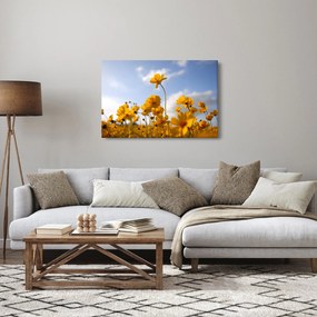 Obraz poľa s jasne žltými kvetmi (90x60 cm)
