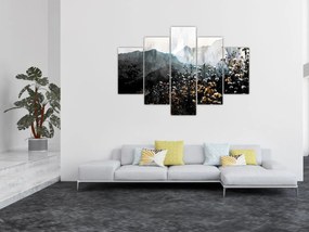 Obraz - Ilustrácie divokých kvetov (150x105 cm)