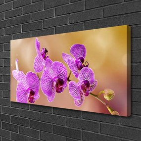 Obraz Canvas Orchidea výhonky kvety príroda 120x60 cm