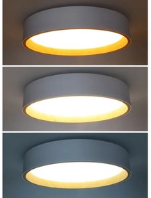 Solight WO8017 - LED Stm. strop. svietidlo LARIOS LED/48W/230V+DO pr.39 cm biela