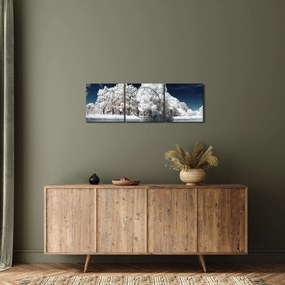 Obraz - Snehobiele stromy (s hodinami) (90x30 cm)