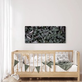 Obraz - Zamrznuté rastliny (120x50 cm)