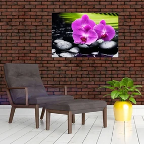 Obraz - Orchidey (90x60 cm)
