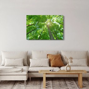 Obraz - Les (90x60 cm)