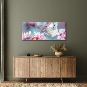 Obraz - Motýľ na čerešni (120x50 cm)