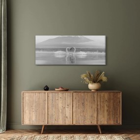 Obraz - Zamilované labute (120x50 cm)