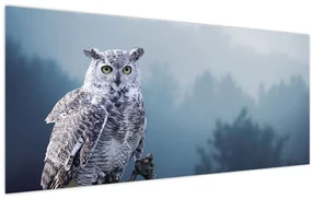 Obraz - Sova snežná (120x50 cm)