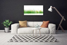 Obraz Canvas Príroda tráva kvety 140x70 cm