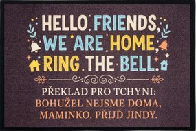 Mercury Flooring, Rohožka HELLO FRIENDS 40x60 cm - na von aj na doma, 40x60, šedá