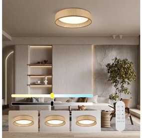 Immax NEO 07288L - LED+CCT stmievateľné stropné svietidlo LONA 36W/230V pr. 45,5 cm+ DO