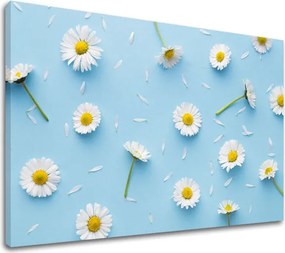 Obraz na stenu BIELE KVETY_163-11