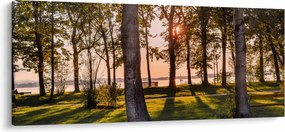 Obraz stromov pri jazere (120x50 cm)