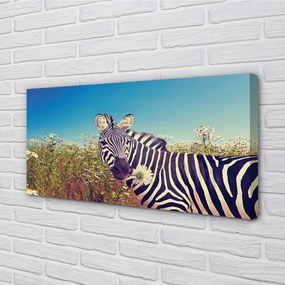 Obraz na plátne zebra kvety 120x60 cm