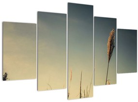 Obraz s trávou (150x105 cm)