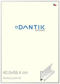 DANTIK rám na obraz 42x59,4 | ALU Dýha bílá (Plexi Čiré)
