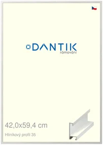 DANTIK rám na obraz 42x59,4 | ALU Dýha bílá (Plexi Čiré)