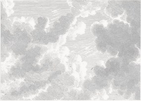 Vliesová tapeta Engraved Clouds