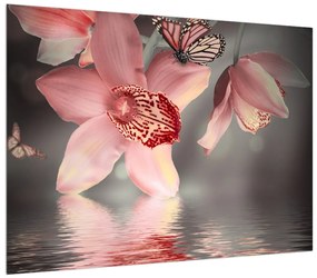 Obraz kvetov a motýľa (70x50 cm)