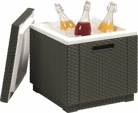 Chladiaca taška Keter Ice Cube 40 L, grafitová