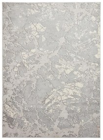 Sivý/béžový koberec 220x160 cm Apollo - Think Rugs