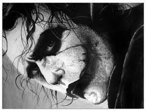 Nástenný obraz na plátne Joker, 40 × 30 cm