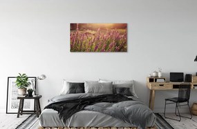 Obraz canvas heather pole 120x60 cm