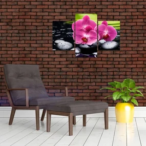 Obraz - Ružové orchidey s palmovým listom (90x60 cm)