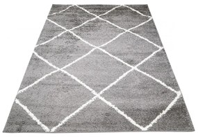 Kusový koberec Shaggy Praka šedý 60x100cm